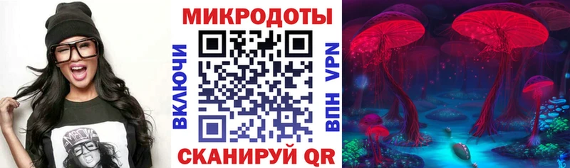 купить наркоту Котово Псилоцибиновые грибы мицелий